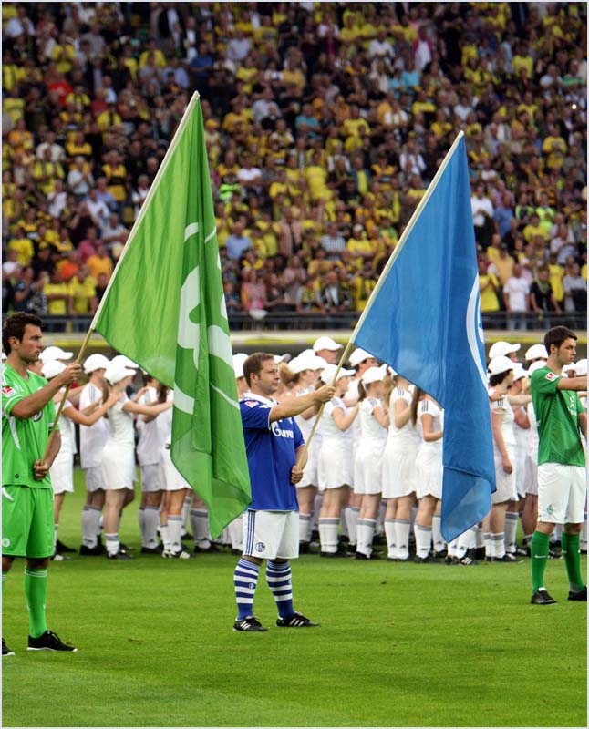 BVB-HSV-11 (132)