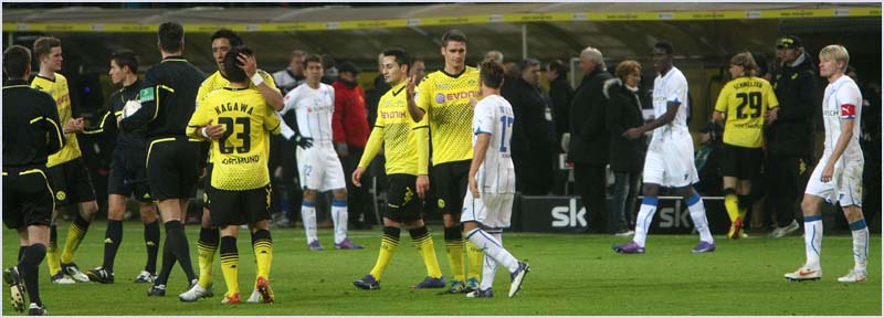 BVB-Hoffenheim-12 (66)