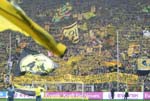 BVB-Brem (100)