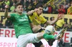 BVB-Brem (144)bjpg