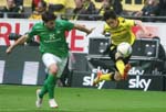 BVB-Brem (148)