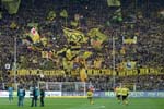 BVB-BMG-12 (138)