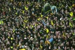 BVB-BMG-12 (188)