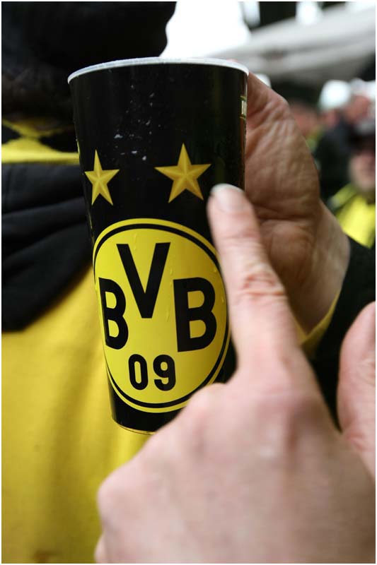 BVB-Freib-M (341)