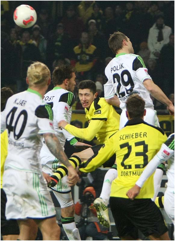 BVB-Wolf-12 (65)b