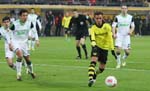 BVB-Wolf-12 (38)