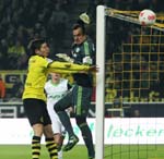 BVB-Wolf-12 (62)